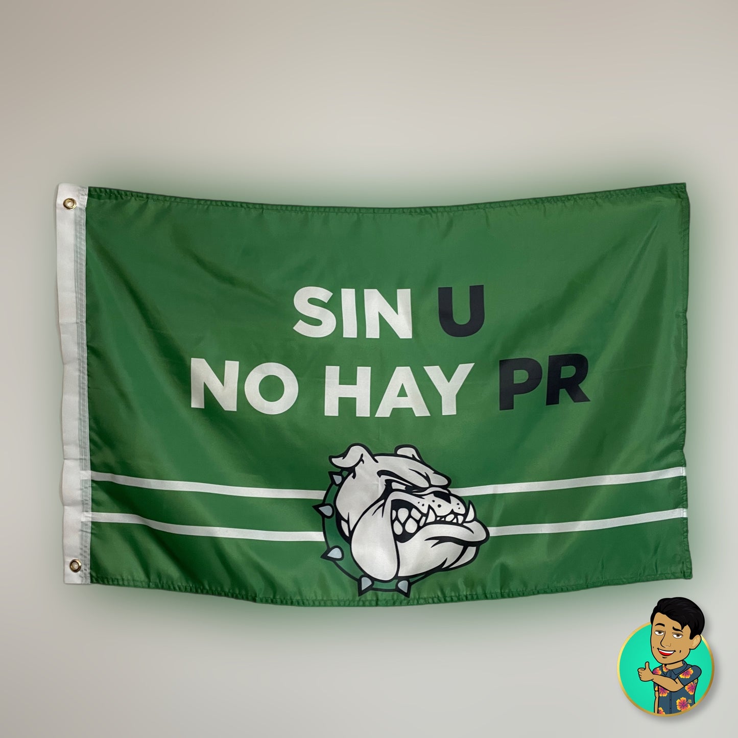 Bandera El Colegio